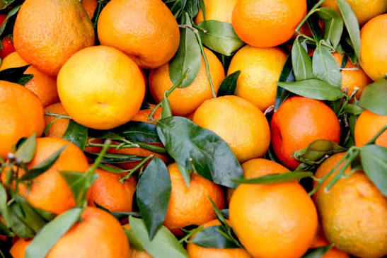 ORANGES FRAÎCHES 1KG