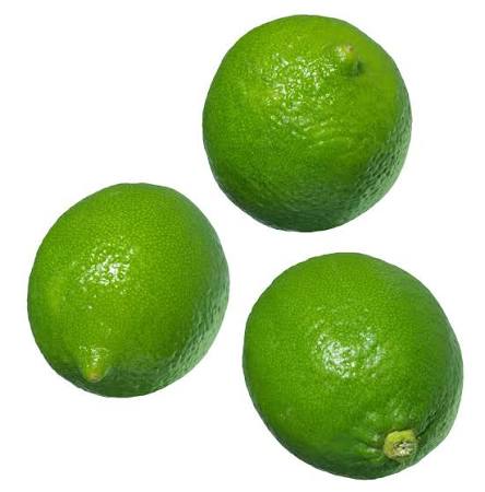 CITRONS VERTS 1KG
