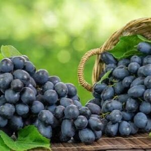 RAISINS NOIRS 1KG