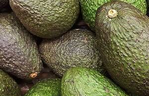 AVOCATS FRAIS  Par piece