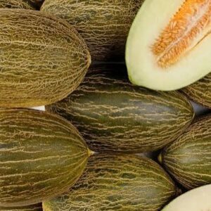 MELON FRAIS AU KG