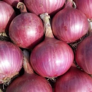 OIGNONS ROUGES 1KG