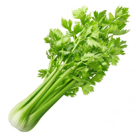 CÉLERI BRANCHE PIÈCE