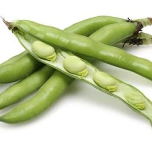 FÈVES FRAÎCHES 500G