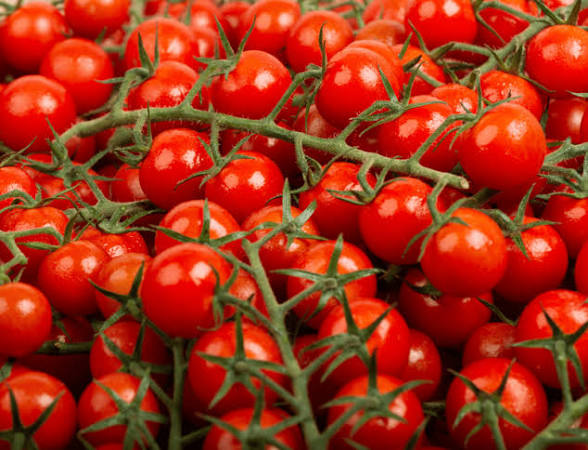 TOMATES CERISES 500G