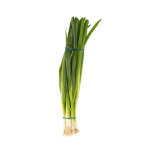 OIGNONS JEUNES BOTTE