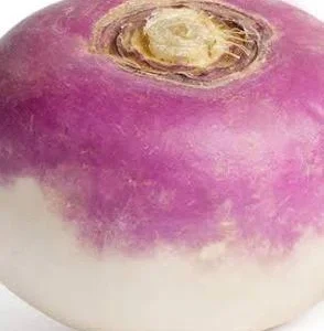 NAVETS FRAIS 1KG